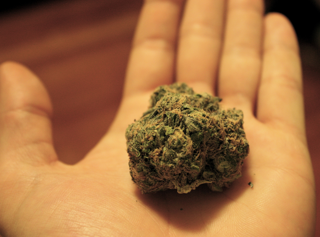 marijuana and its uses throughout history essay marijuana and its uses throughout history essay
