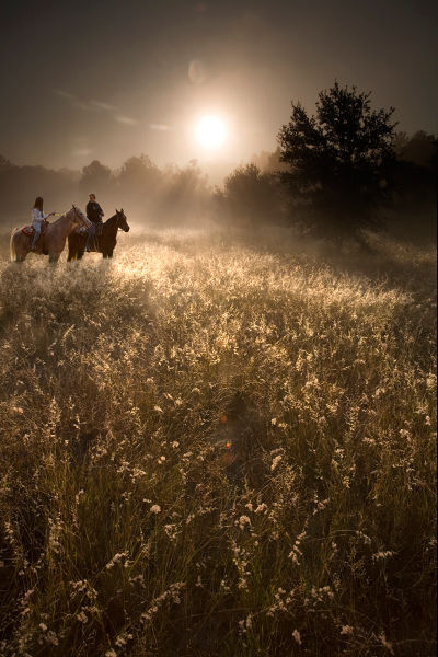 Refuge Admissions Image 1