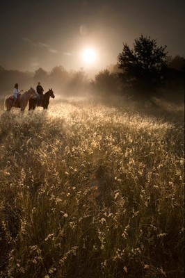 Refuge Admissions Image 1