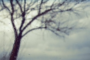 Managing Stress and Anxiety in the Wake of Trauma