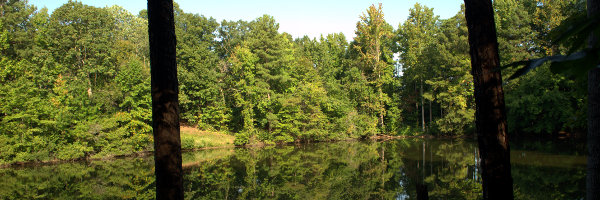 Lakeview Treatment Image 1