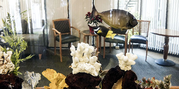 Cascade Family Image 2