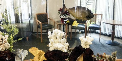 Cascade Family Image 2