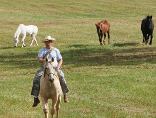 The Ranch Recovery - Near Nashville