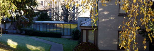 Cascade Treatment Image 2