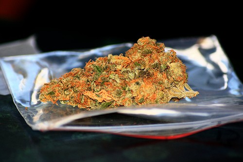 Oakland Votes to Tax Marijuana Sales – America’s First Marijuana Tax