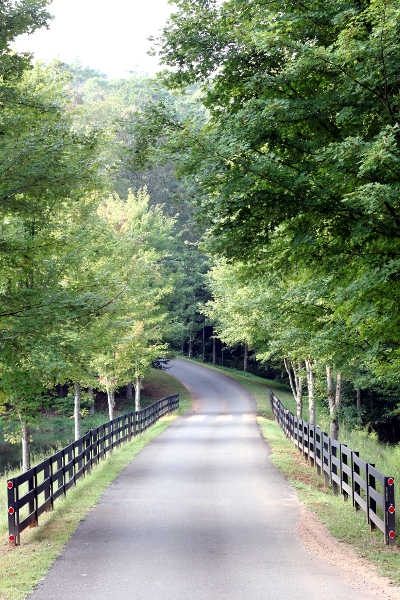Blue Ridge Admissions Image