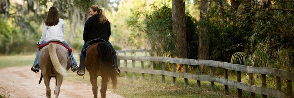 Refuge Treatment Image 1