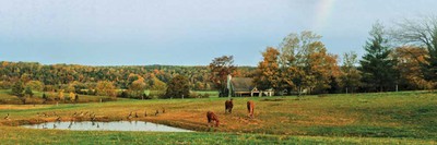 The Ranch - Near Nashville