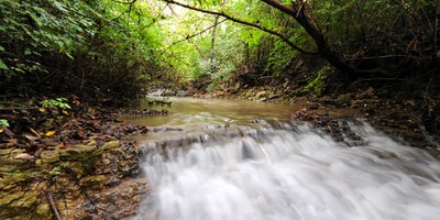 Timberline Family Image 1