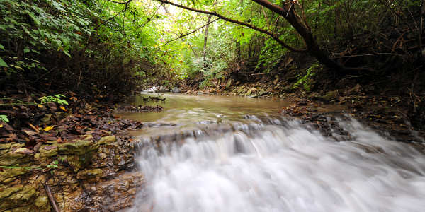 Timberline Family Image 1