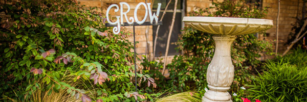 The Right Step - Dallas