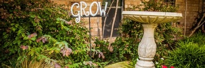 The Right Step - Dallas