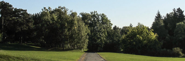 Longleaf Admissions Image 1