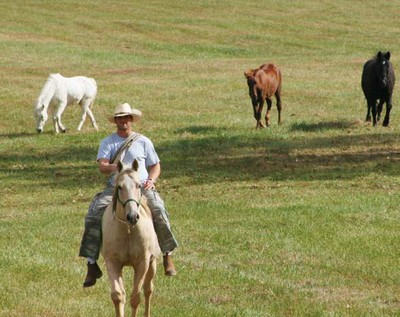 Equine-Assisted Therapy