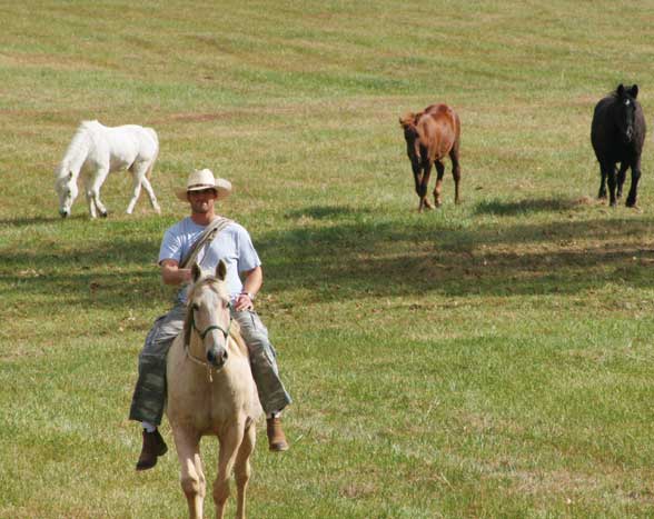 Equine-Assisted Therapy