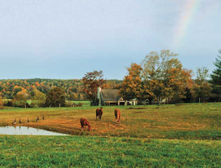 The Ranch Recovery Center Nashville